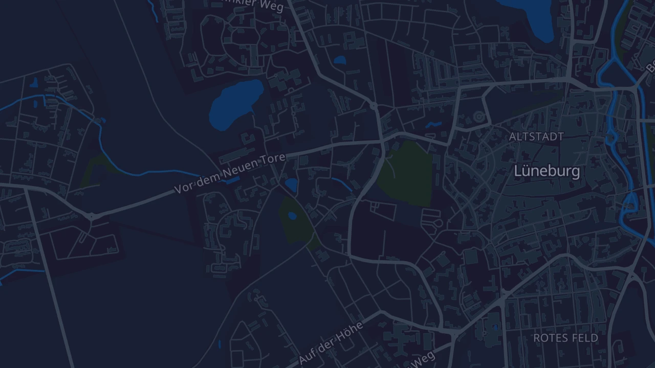 Karte von Lüneburg