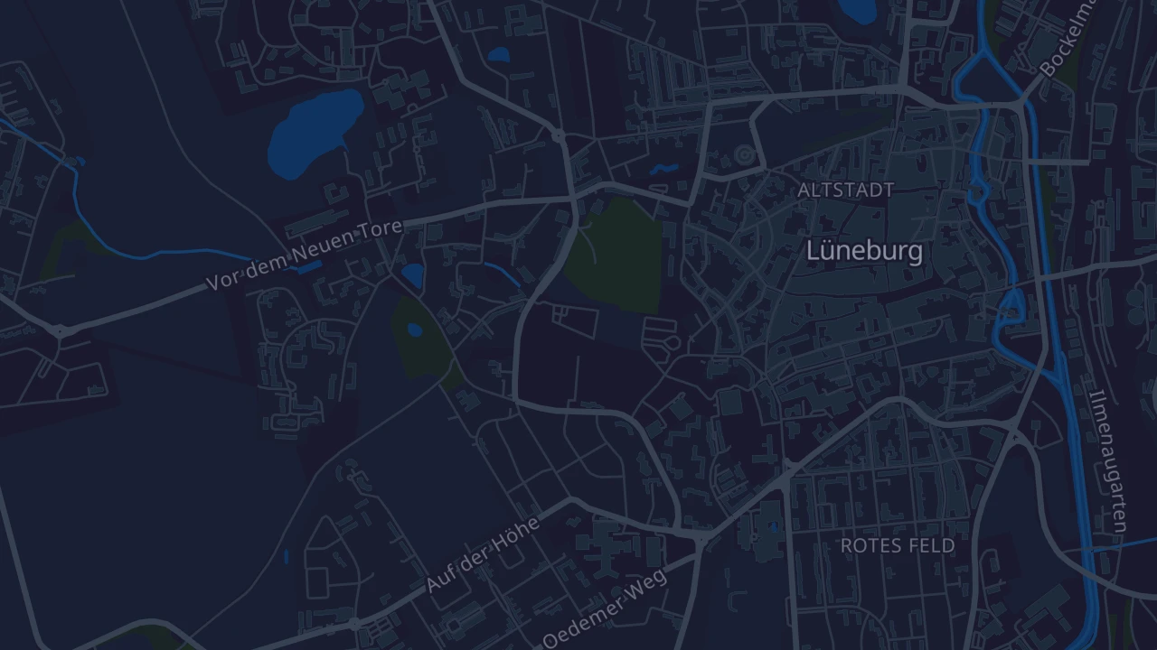 Karte von Lüneburg