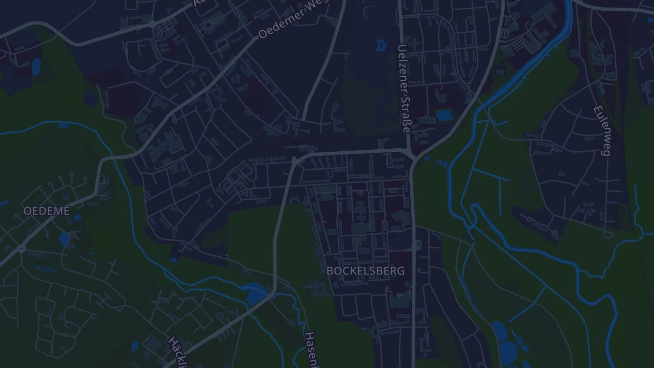 Karte von Lüneburg