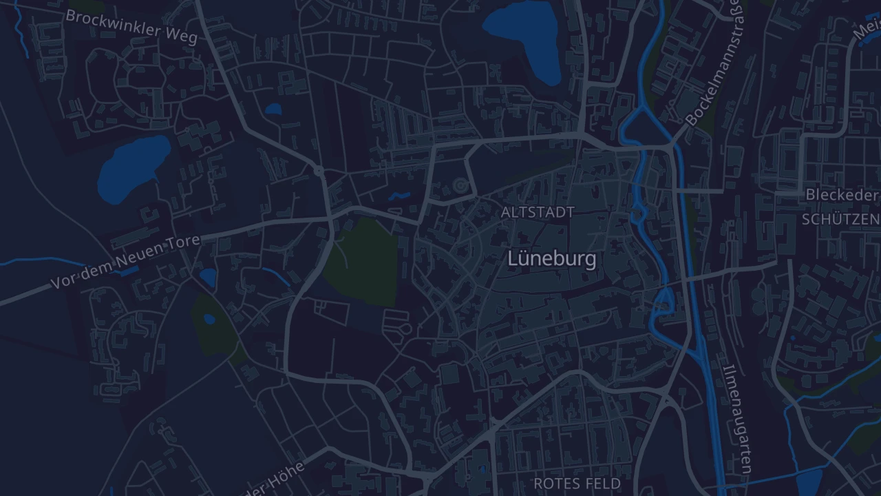 Karte von Lüneburg