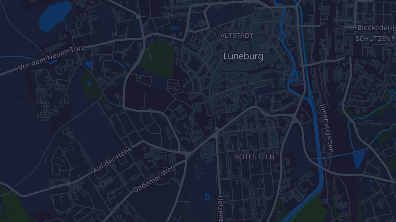 Karte von Lüneburg