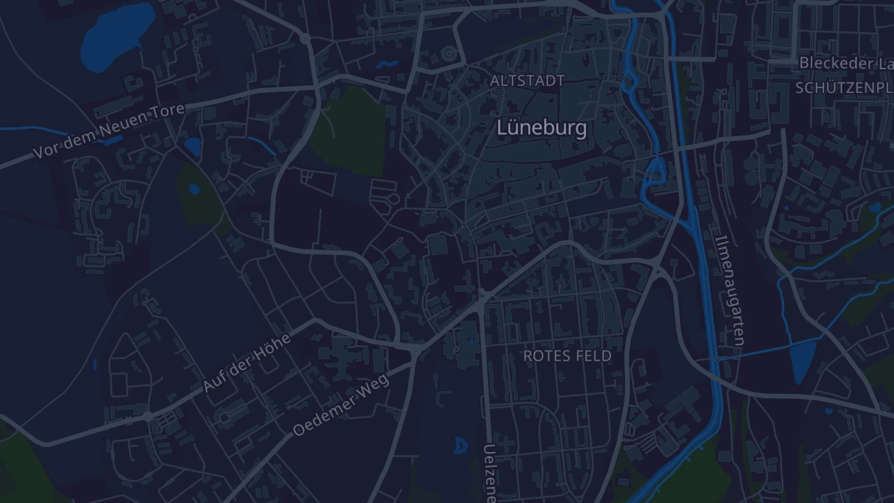 Karte von Lüneburg