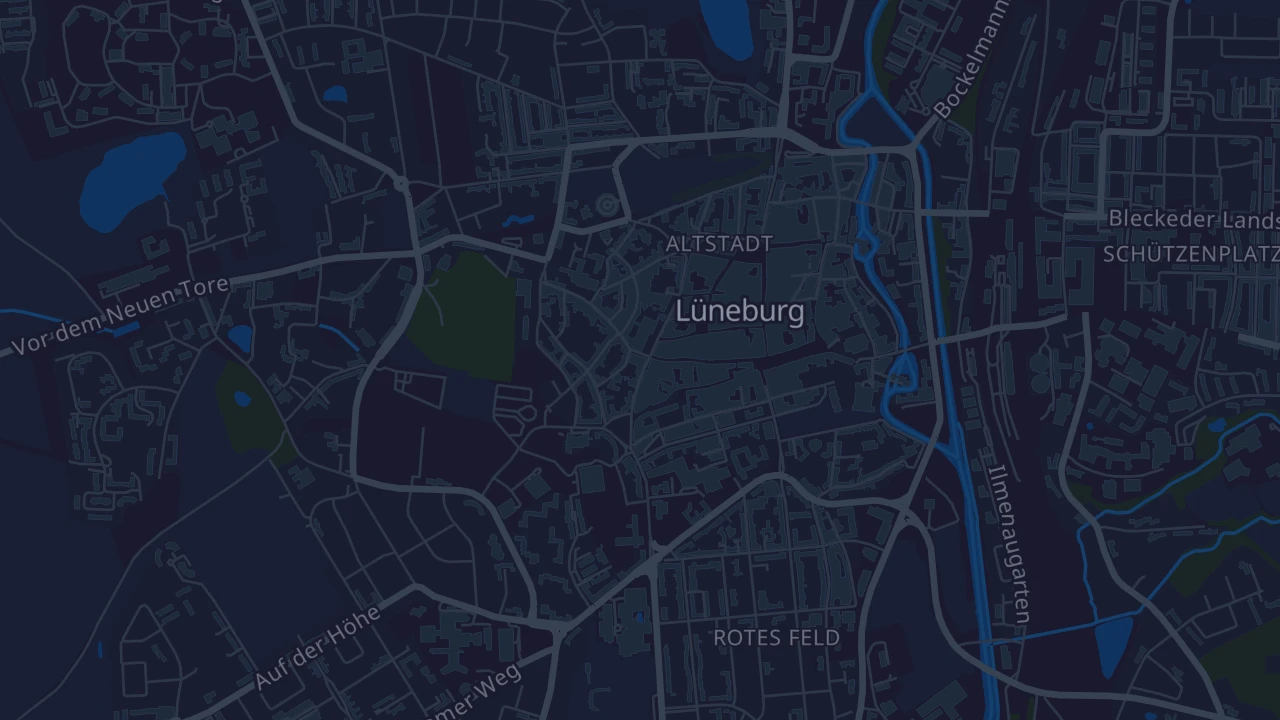 Karte von Lüneburg