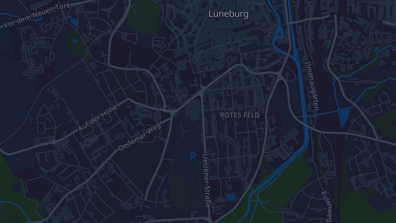 Karte von Lüneburg