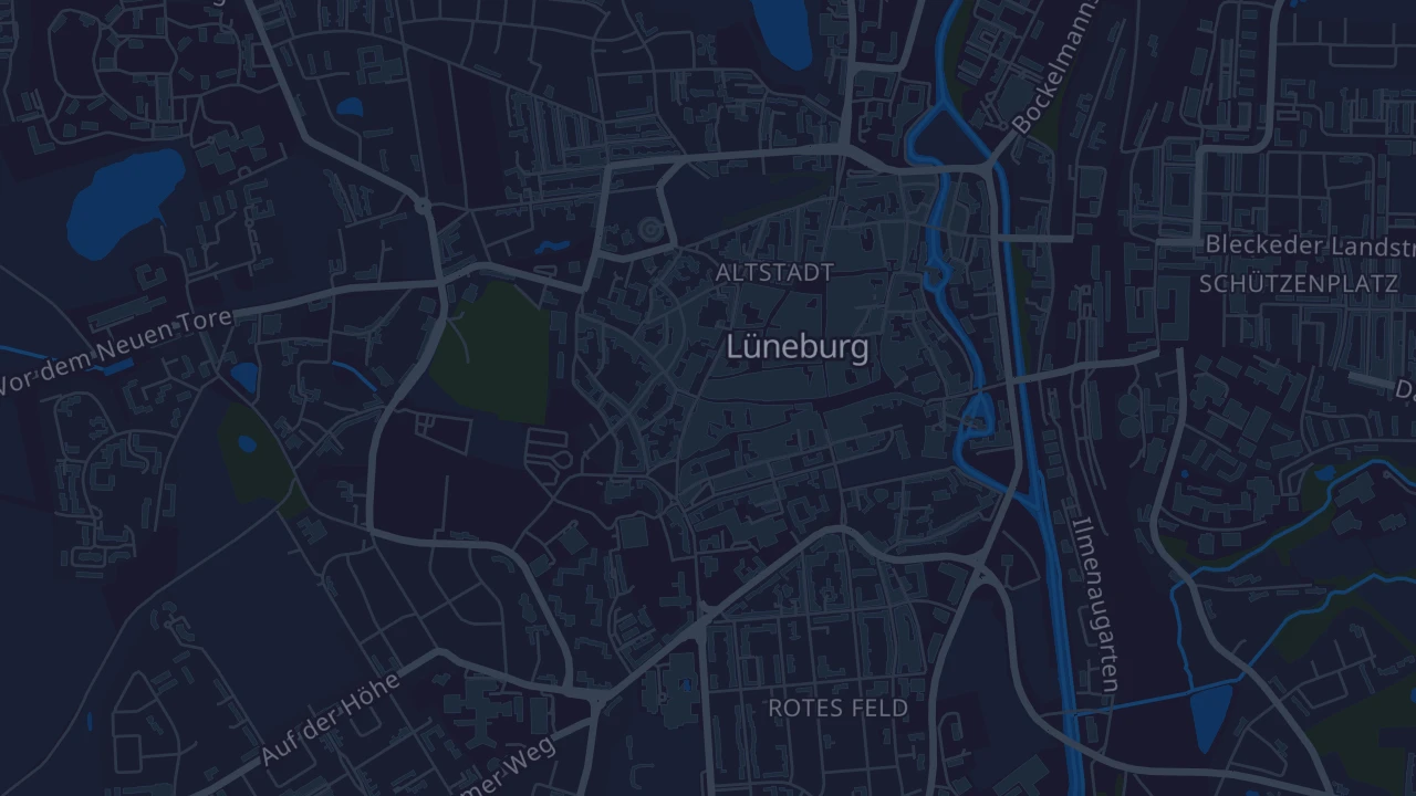 Karte von Lüneburg