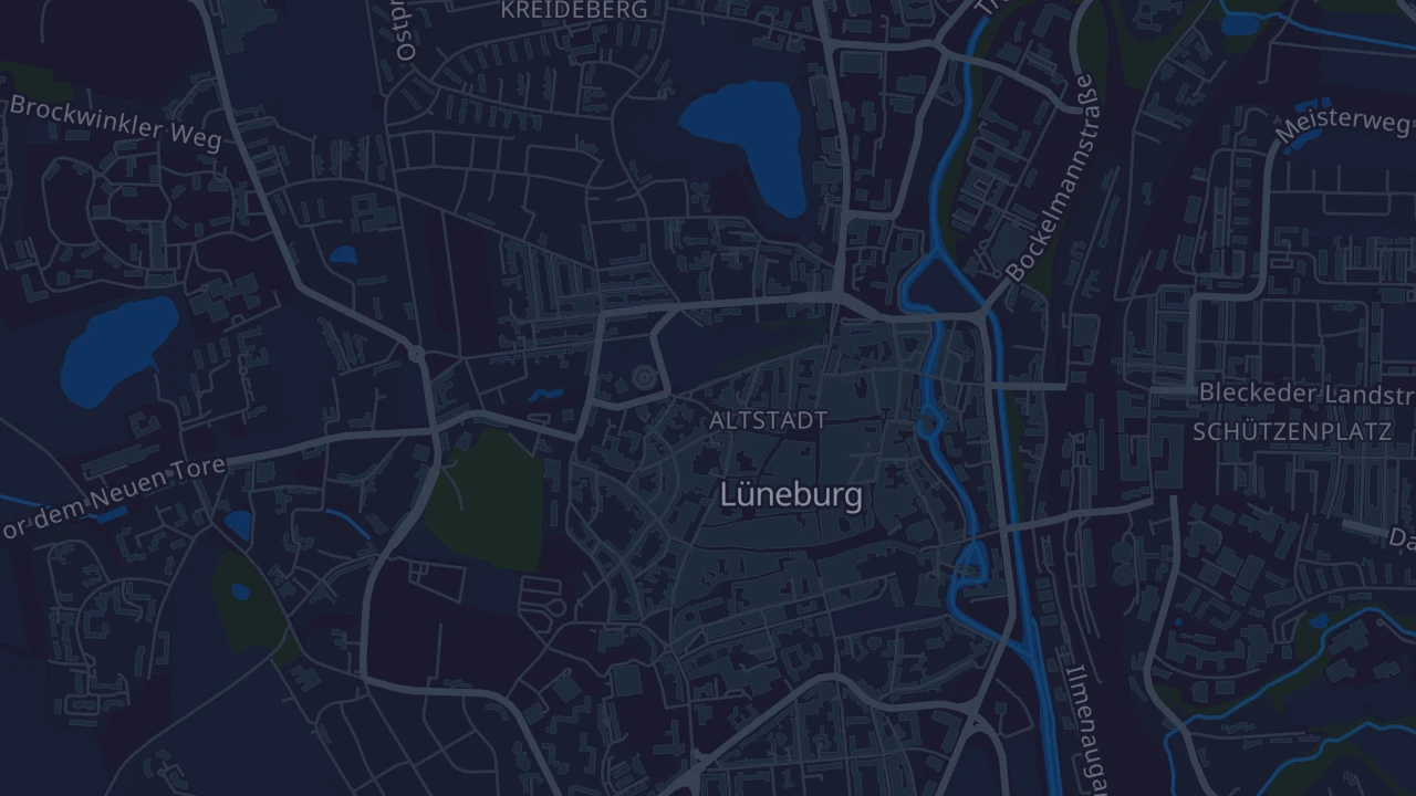 Karte von Lüneburg