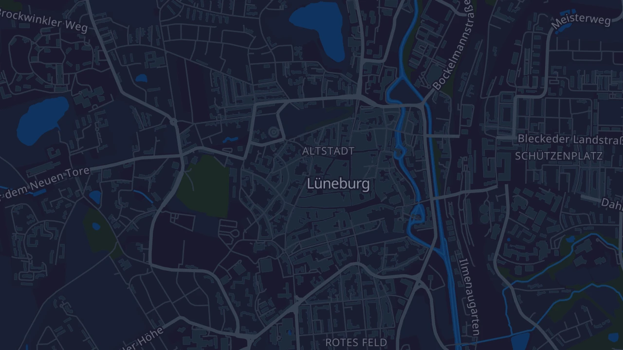Karte von Lüneburg