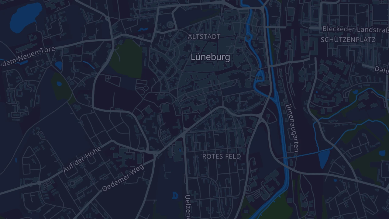 Karte von Lüneburg