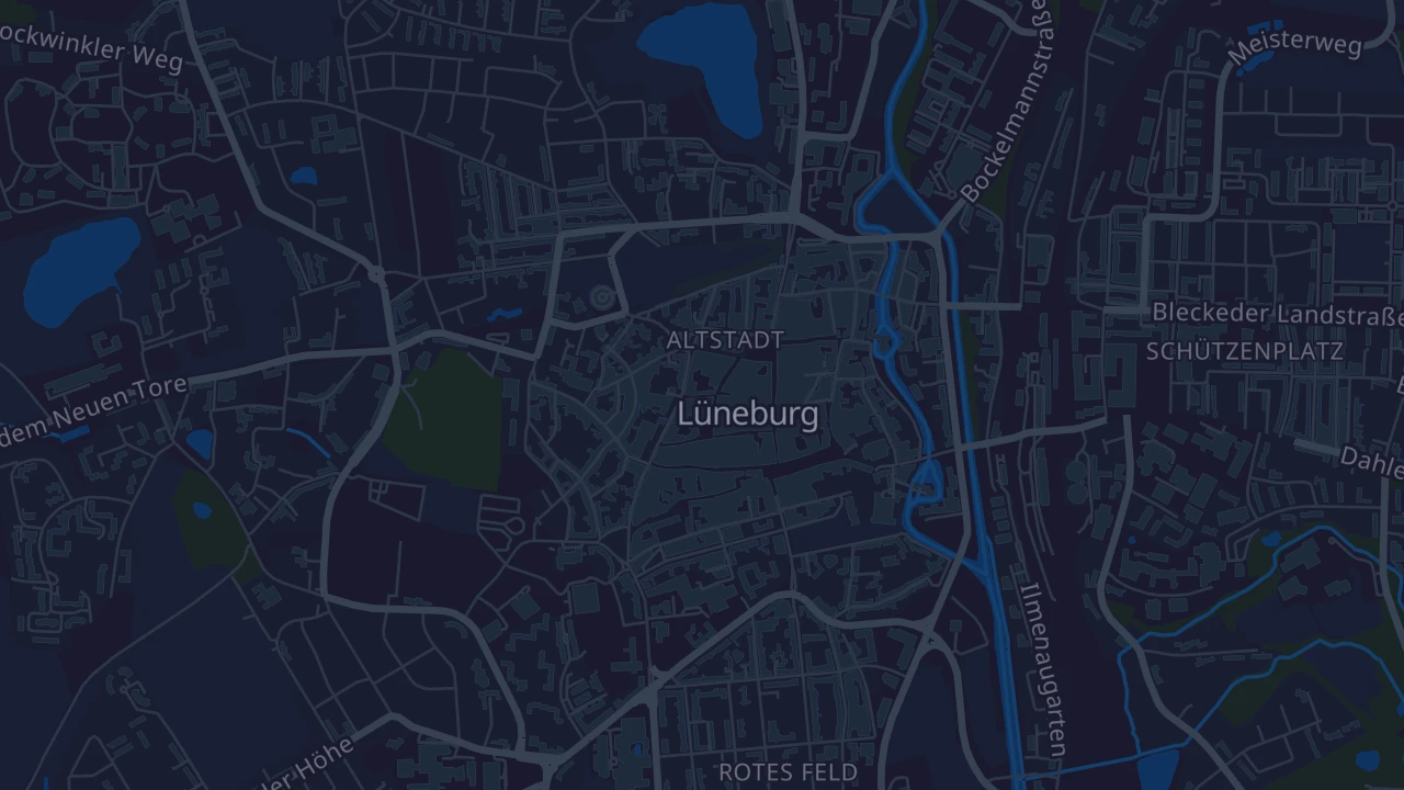 Karte von Lüneburg