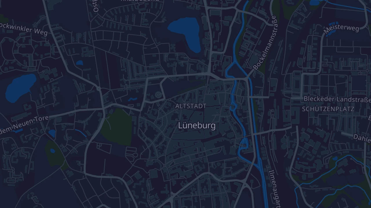 Karte von Lüneburg