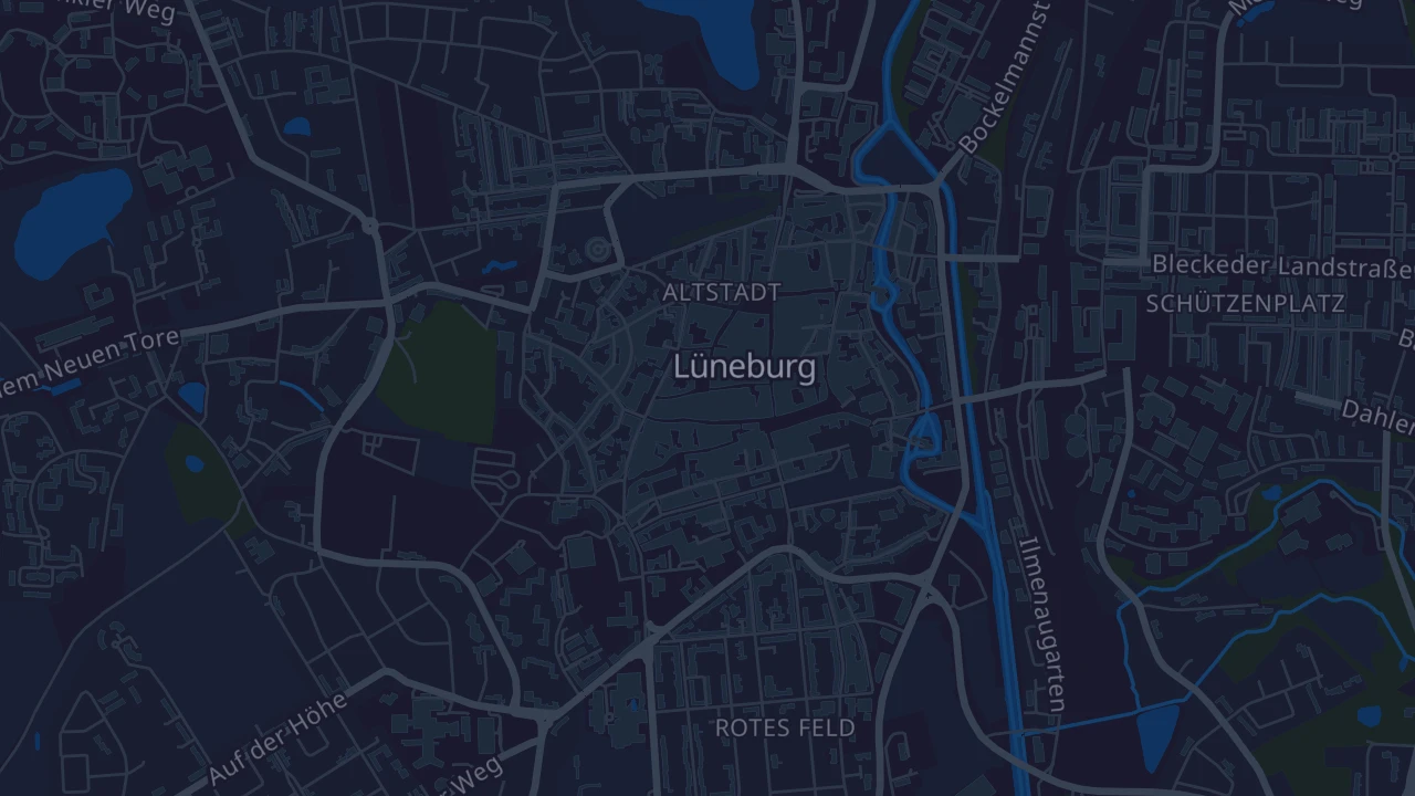 Karte von Lüneburg