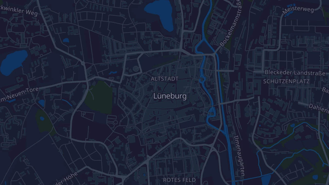 Karte von Lüneburg