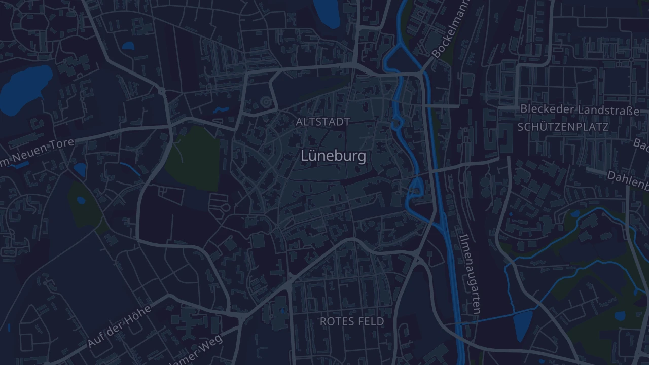 Karte von Lüneburg