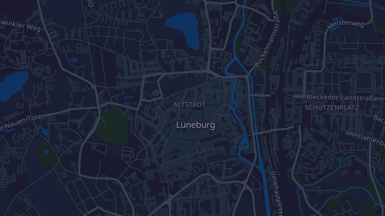 Karte von Lüneburg
