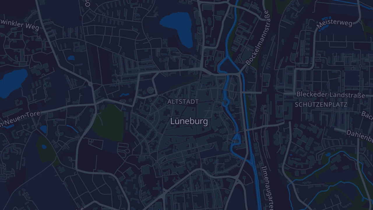Karte von Lüneburg