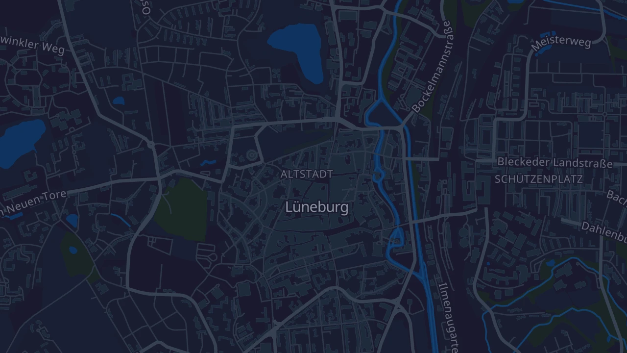 Karte von Lüneburg
