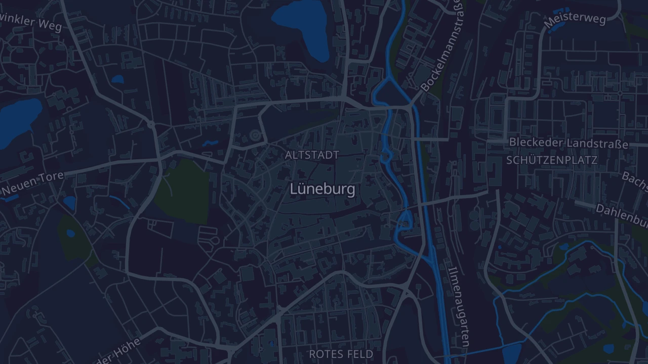 Karte von Lüneburg
