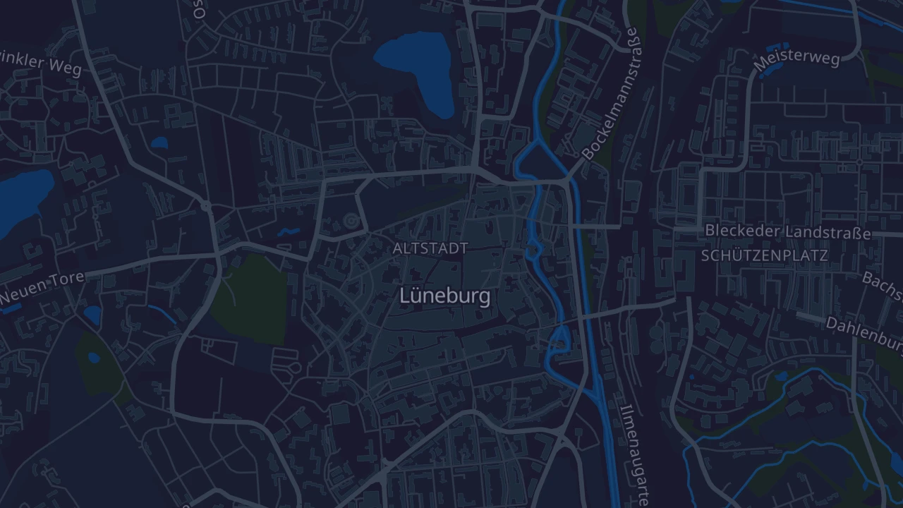 Karte von Lüneburg