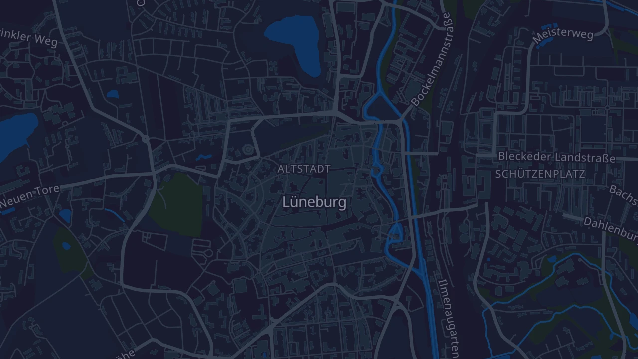 Karte von Lüneburg