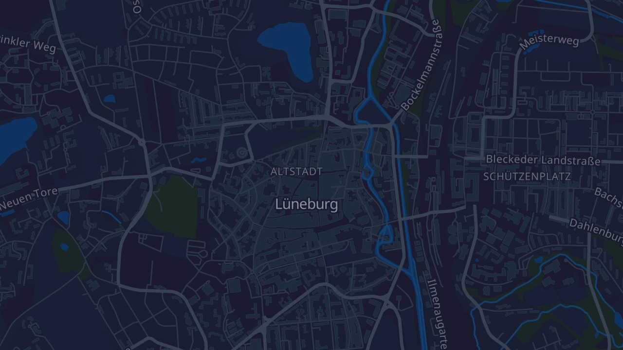 Karte von Lüneburg