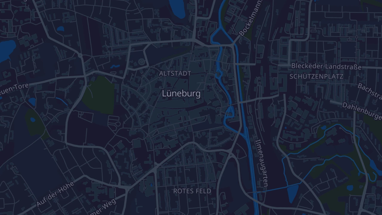 Karte von Lüneburg
