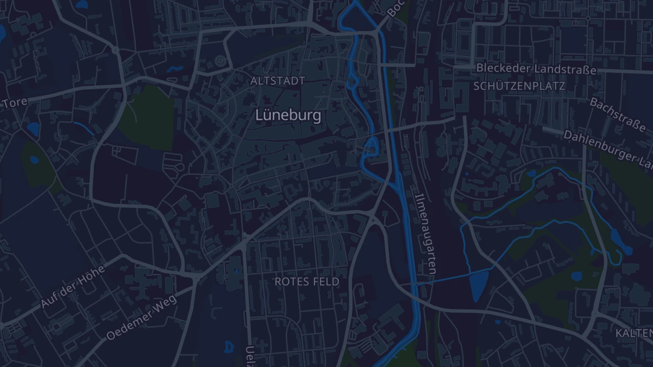 Karte von Lüneburg