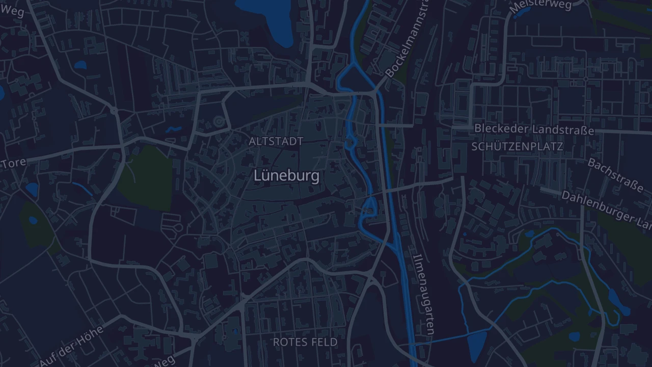 Karte von Lüneburg
