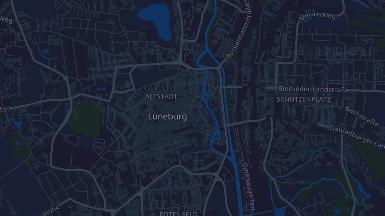 Karte von Lüneburg
