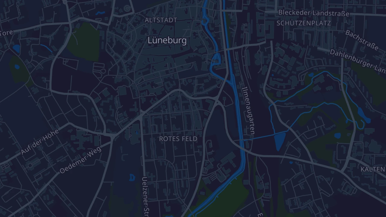 Karte von Lüneburg