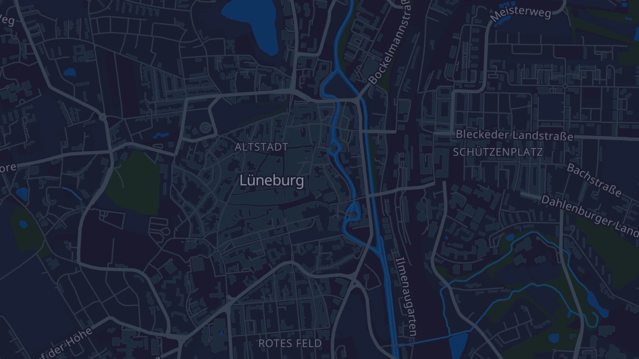 Karte von Lüneburg