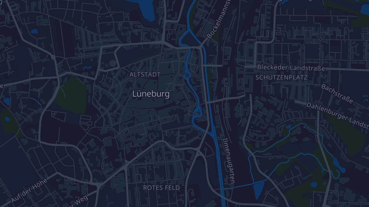 Karte von Lüneburg