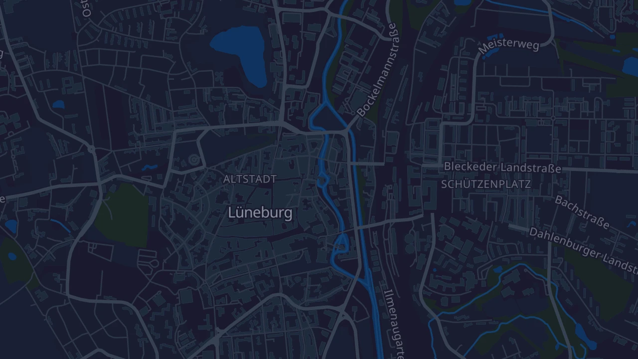 Karte von Lüneburg