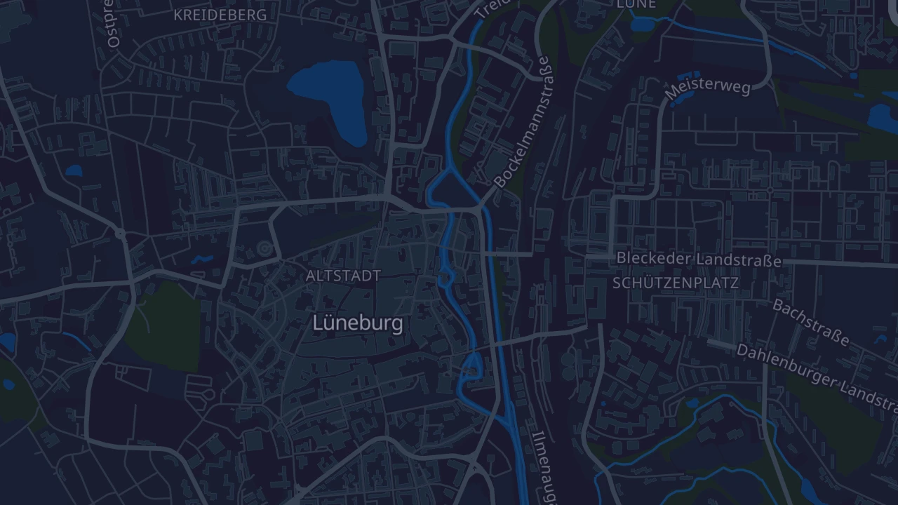 Karte von Lüneburg
