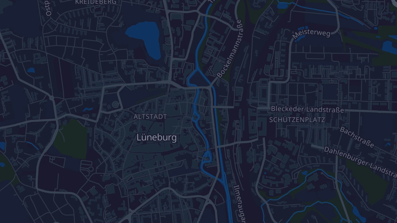 Karte von Lüneburg
