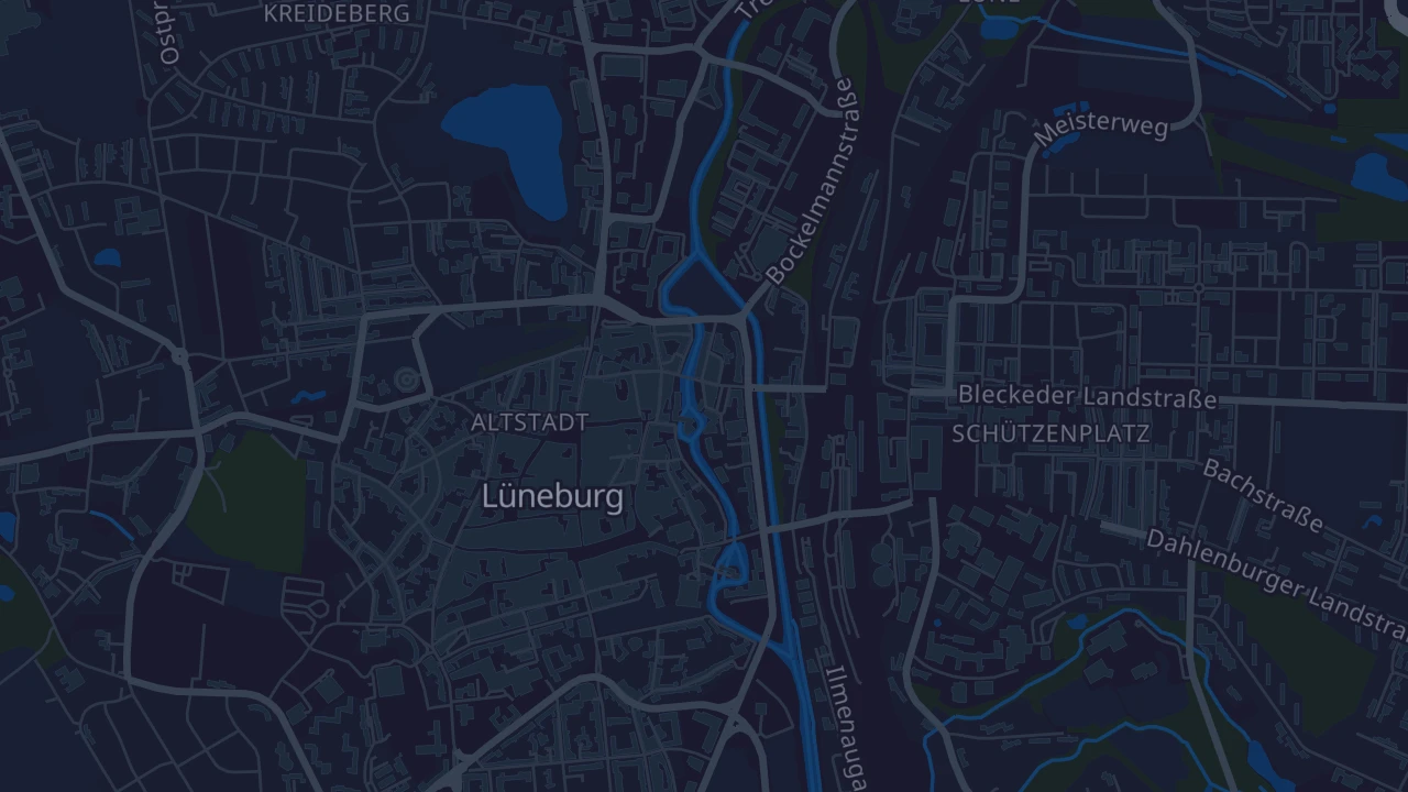 Karte von Lüneburg