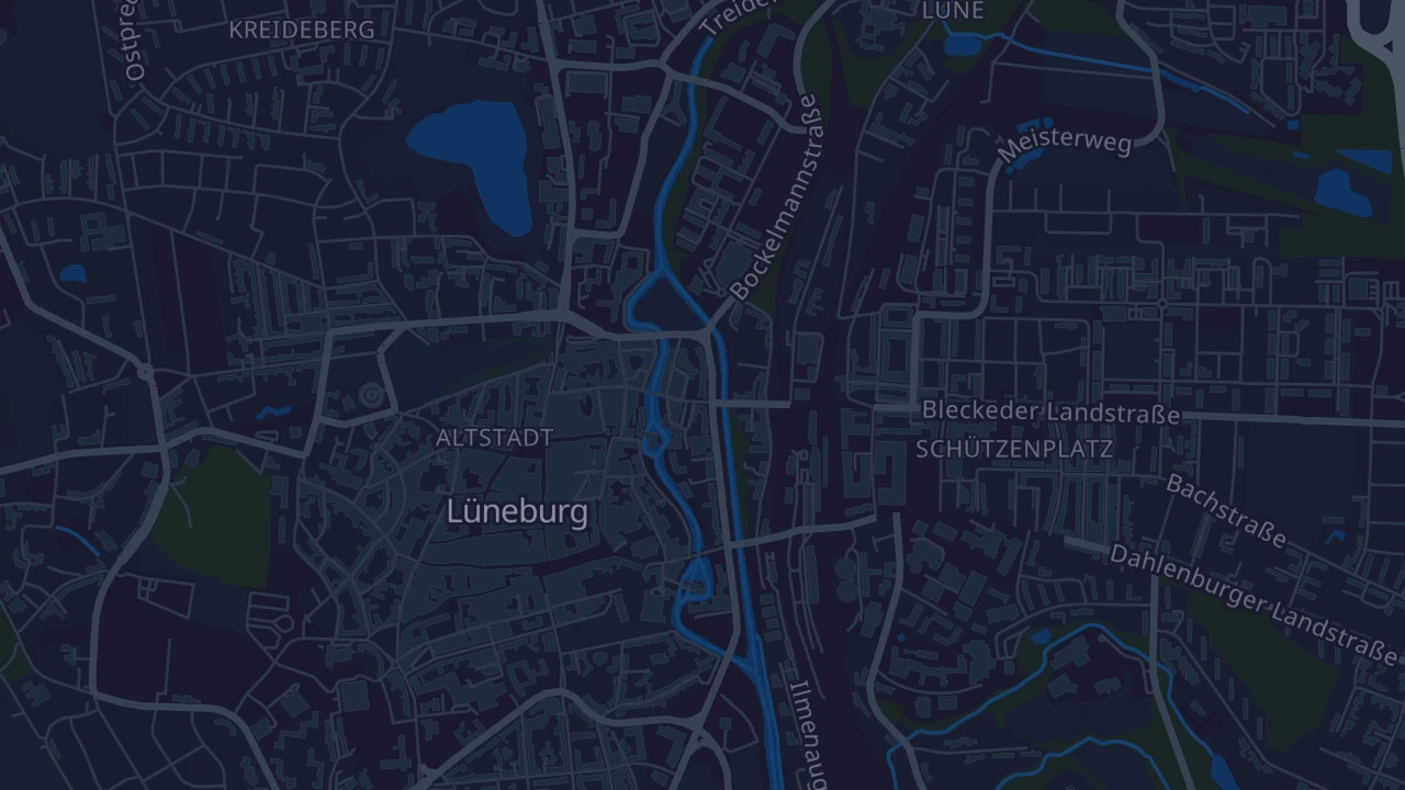 Karte von Lüneburg