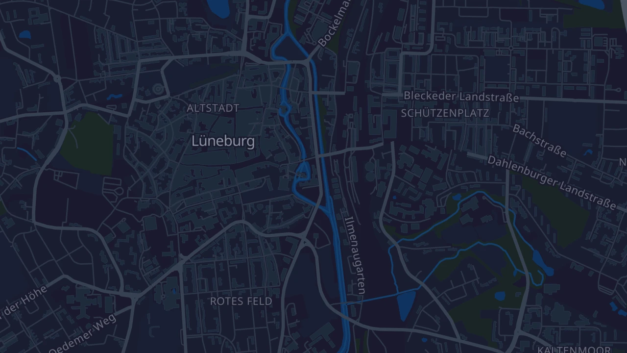 Karte von Lüneburg