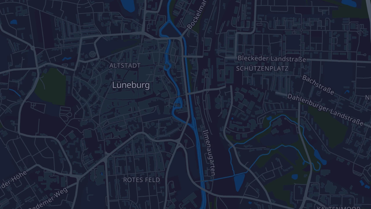 Karte von Lüneburg