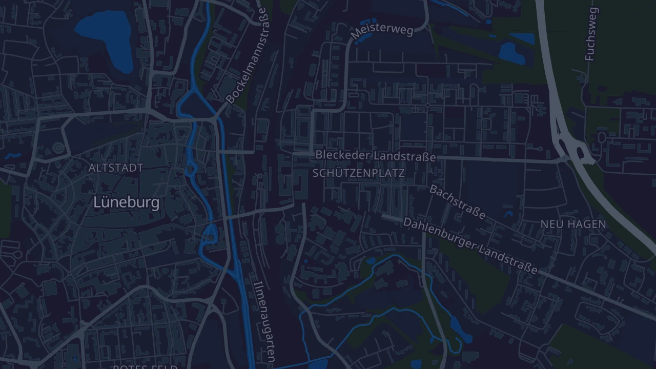 Karte von Lüneburg