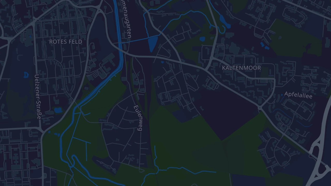 Karte von Lüneburg