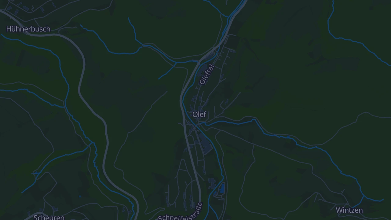 Karte von Schleiden