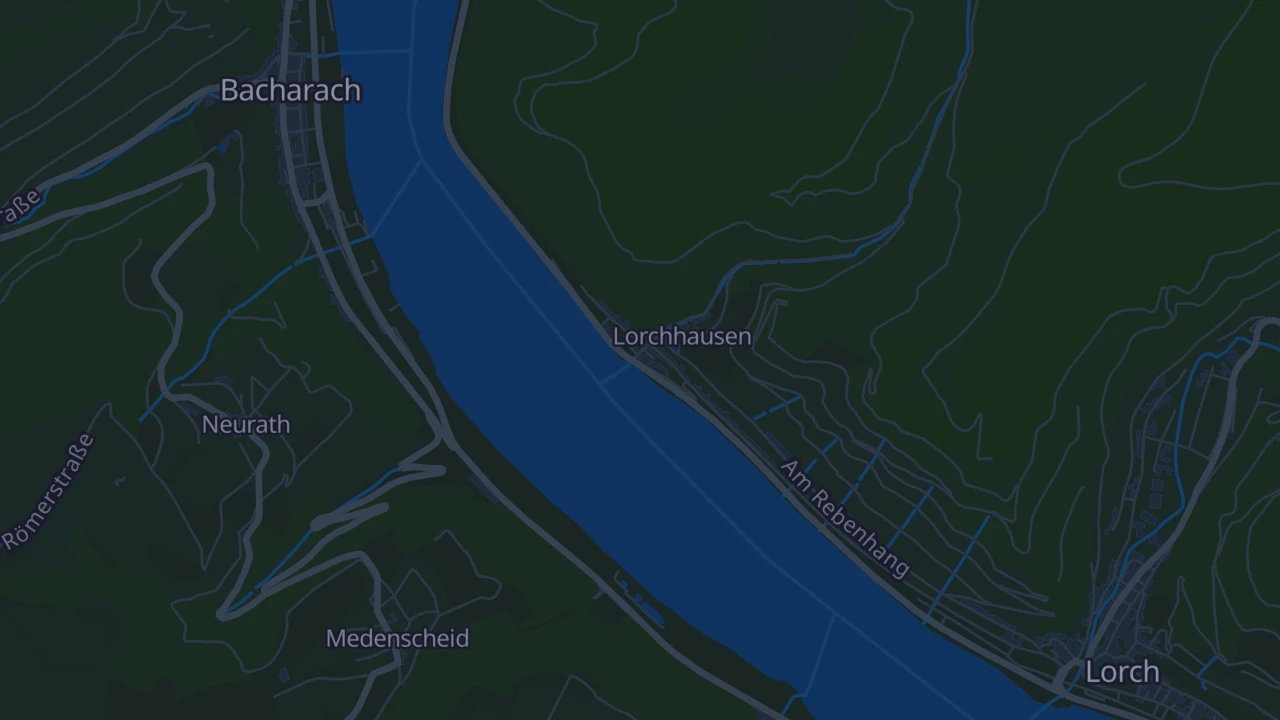 Karte von Lorch am Rhein Lorchhausen