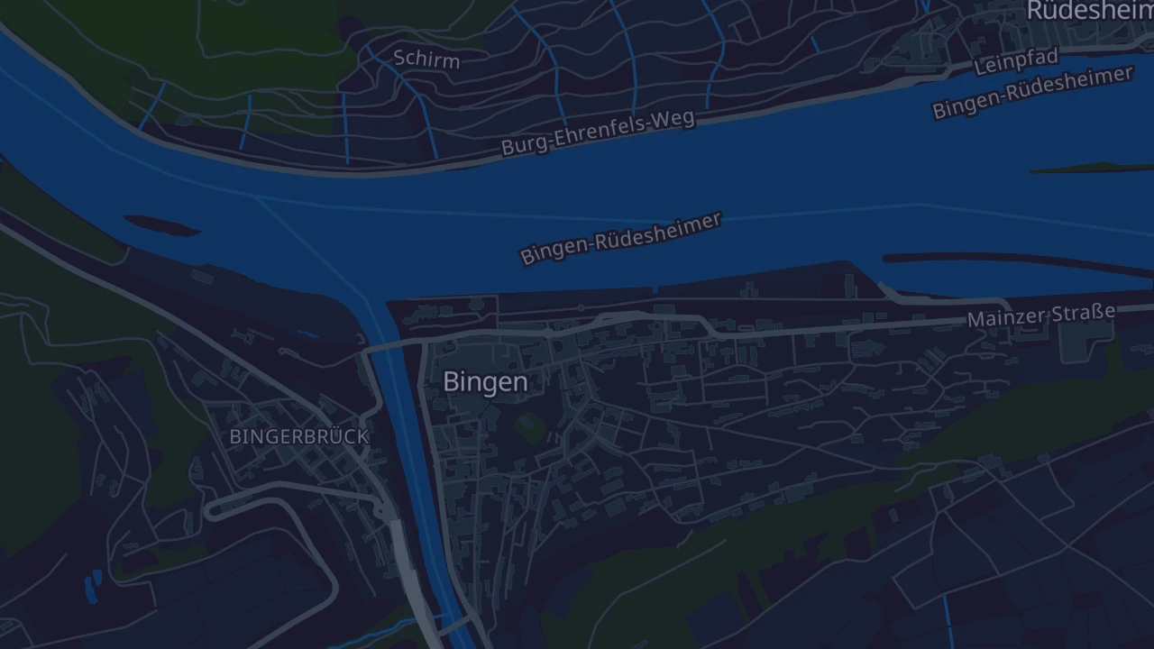 Karte von Bingen am Rhein