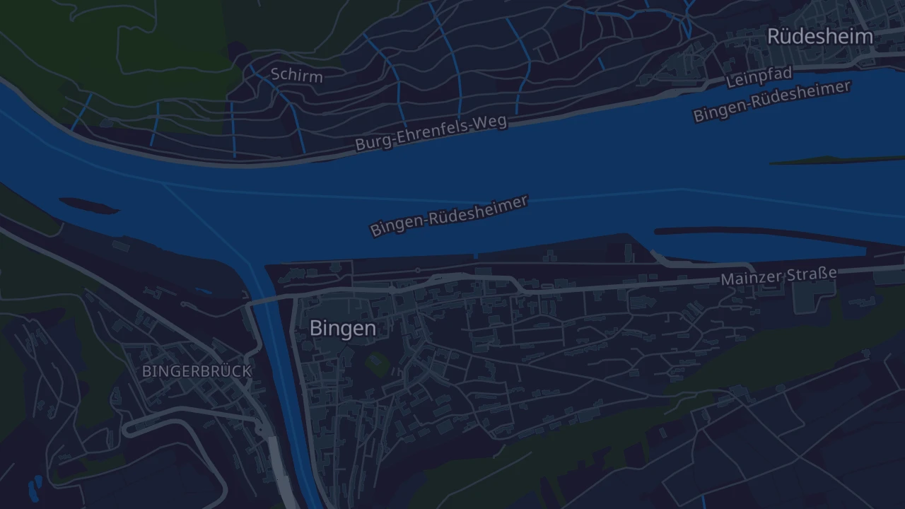 Karte von Bingen am Rhein