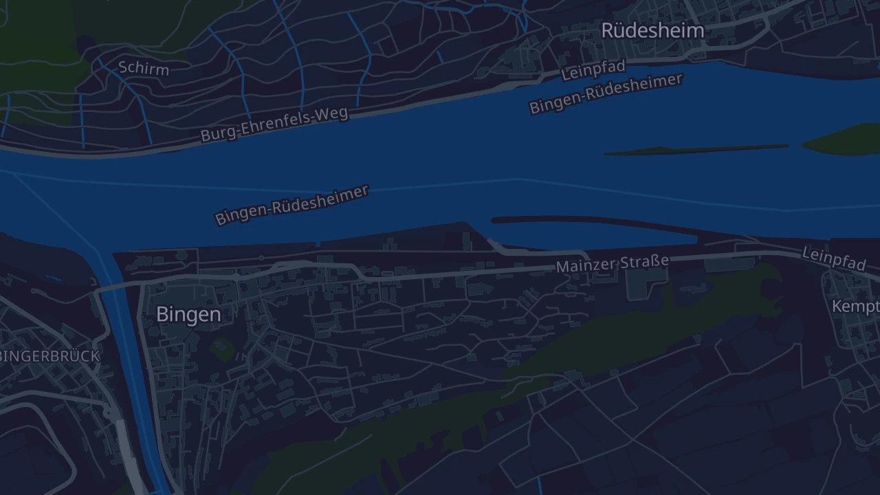 Karte von Bingen am Rhein