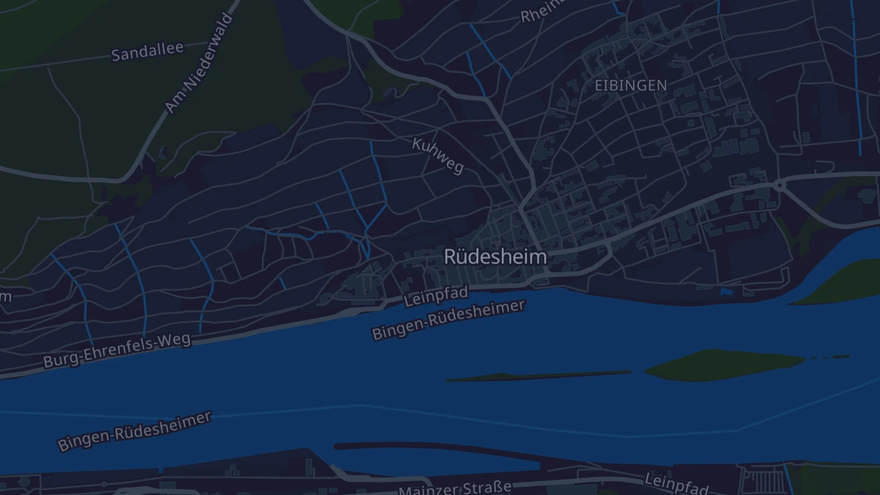 Karte von Rüdesheim