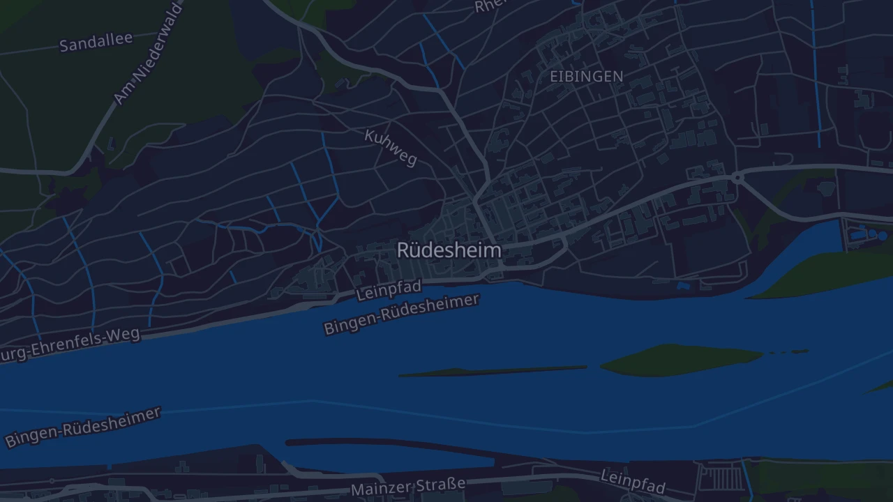 Karte von Rüdesheim