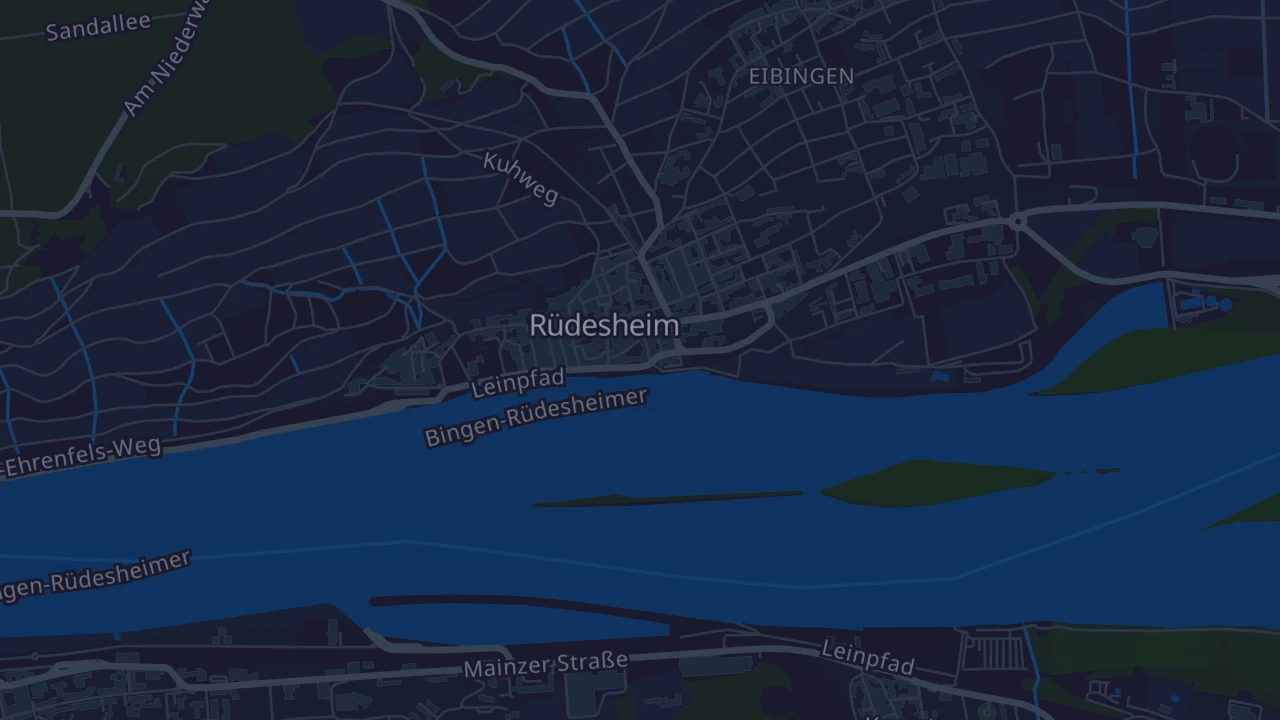 Karte von Rüdesheim