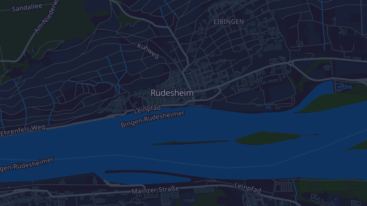 Karte von Rüdesheim