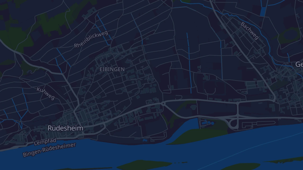 Karte von Rüdesheim am Rhein